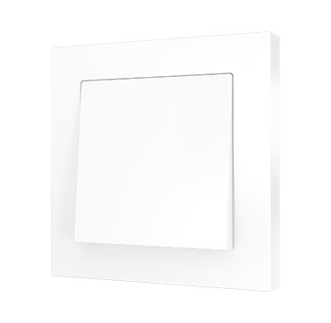 ZS55 - Pulsador simple